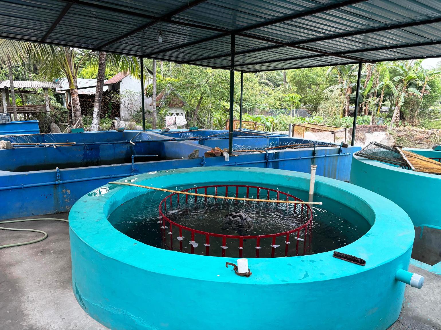 OUR HATCHERIES 1