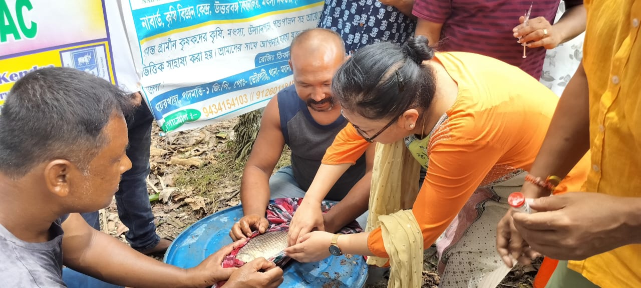 Vaccination